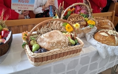 2026-08-23 Dożynki Gminno-Parafialne Sm&oacute;lnik 2026 część I 65