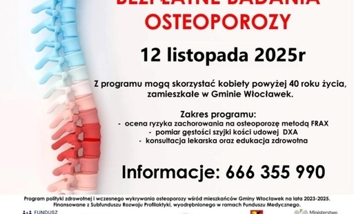 Element ozdobny