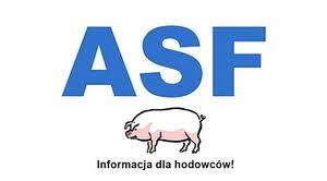 napis ASF i rysunek świni